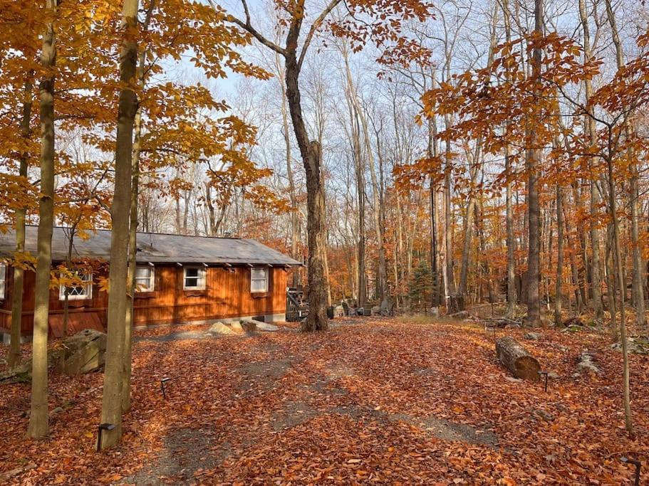 Stylish And Cozy Cabin, Walking Distance To Big Bass Lake Gouldsboro Экстерьер фото
